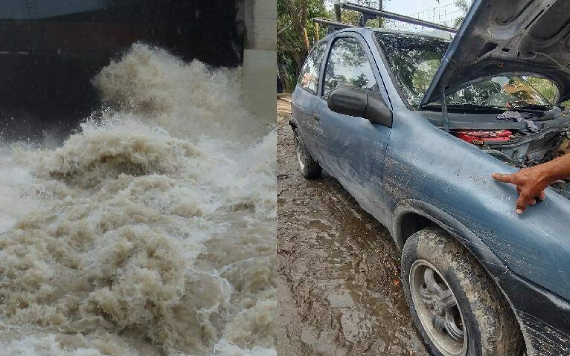 En la colonia Las Conchitas de Ciudad Madero los autos fueron arrastrados por la corriente tras las lluvias Pixabay y Juan Hernández